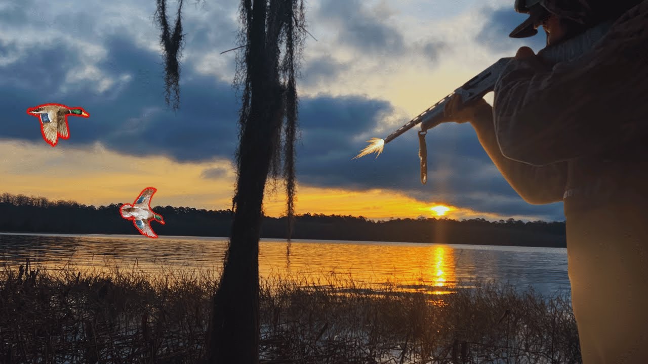 Duck hunting the most beautiful lake in Florida..