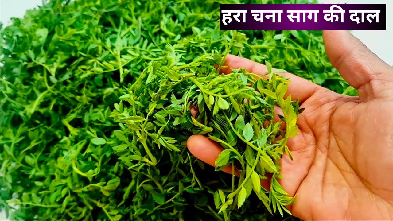 हरे चने की दाल | Hare Chane Ki Sabji | Masala Chana Dal Recipe | Hare Chane Ka Saag 