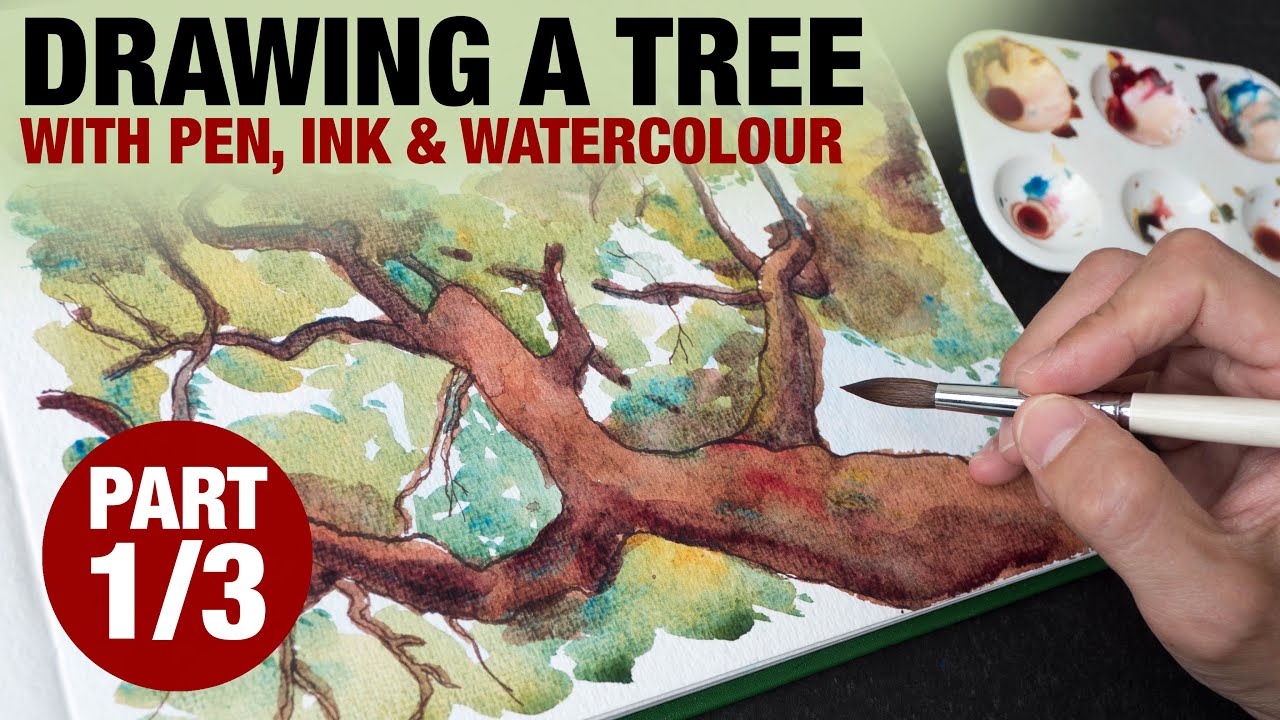 Drawing a tree with pen, ink and watercolour (Part 1/3)