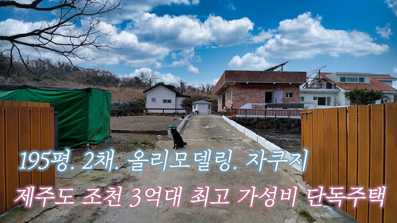급매 195평 2채. 올리모델링 제주도 조천 3억대 단독주택