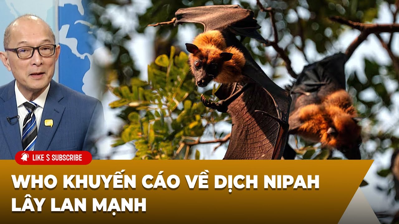 Thời Sự Thế Giới P3 (02-02-2026) WHO khuyến cáo về dịch Nipah lây lan mạnh
