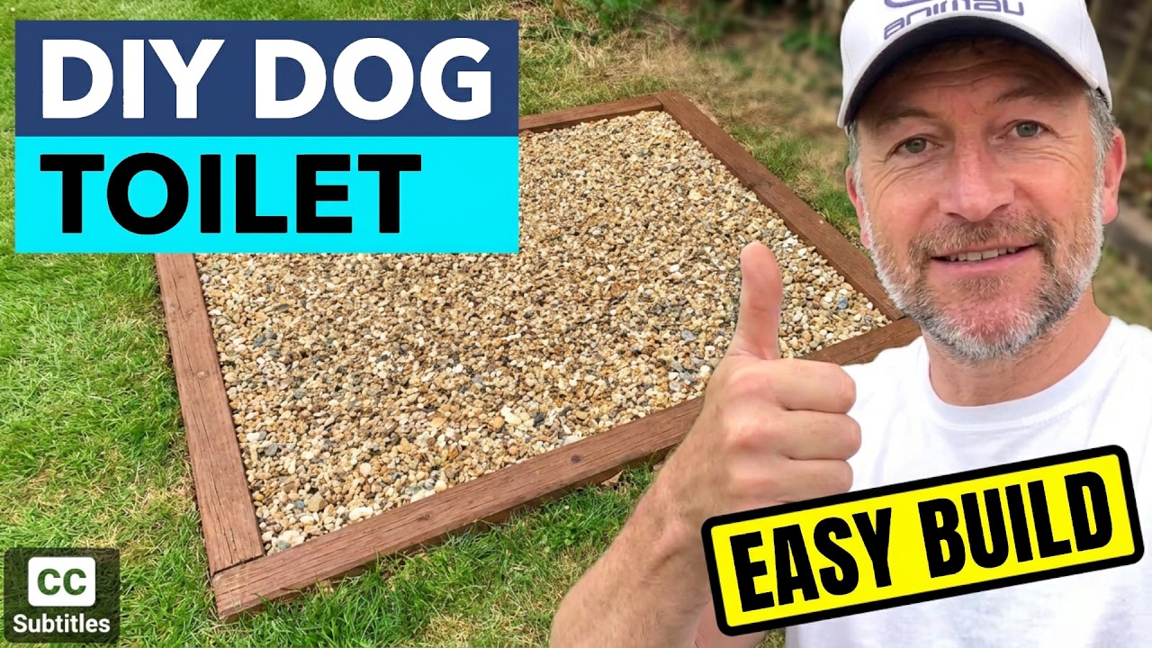 How to build a Dog Toilet outside (How to build a Dog Potty Toilet) - DIY Dog Potty