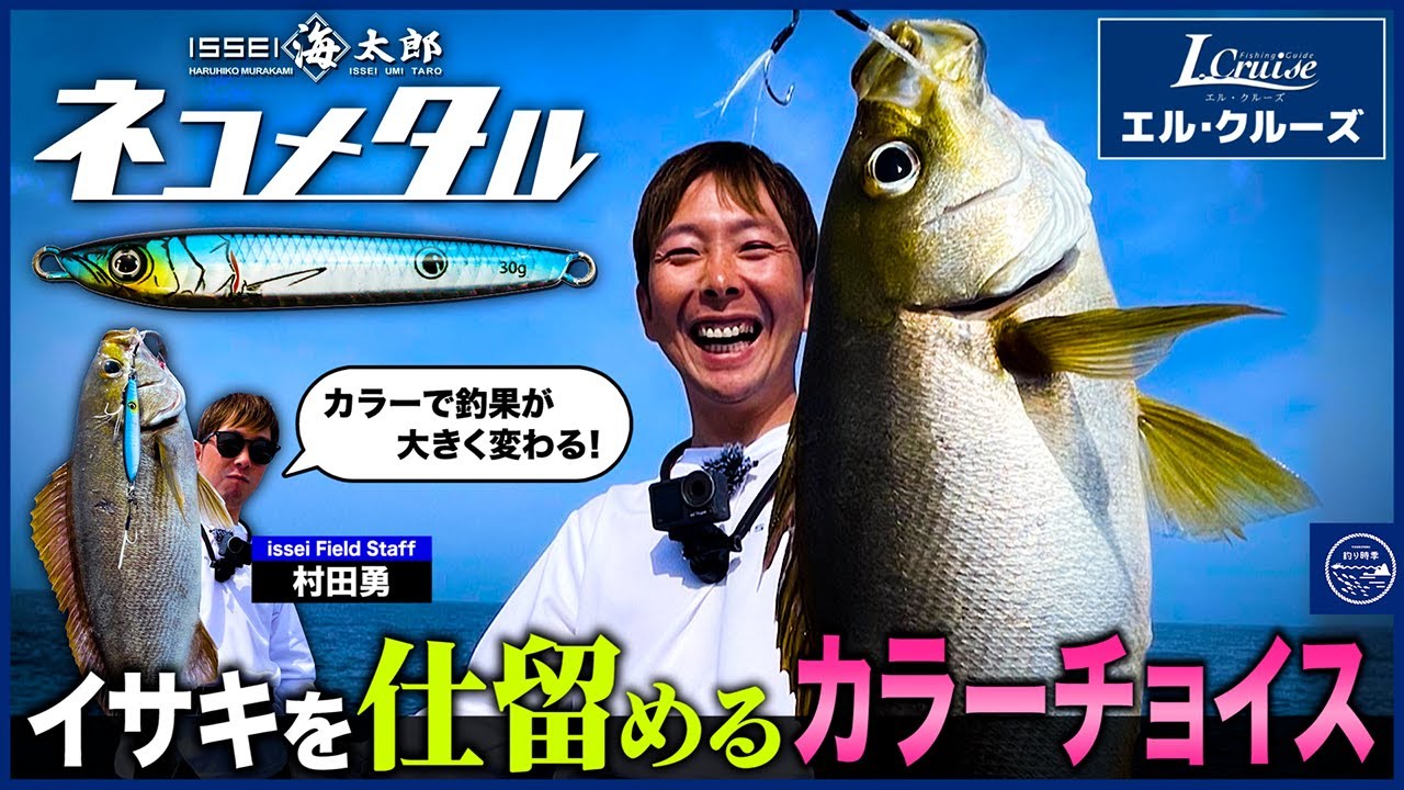 【ネコメタル】イサキを仕留めるカラーチョイス in 福岡県 博多湾【釣り時季】