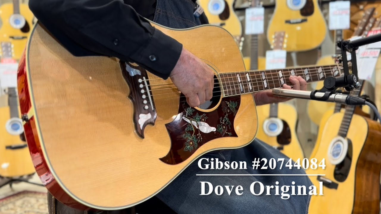 Gibson Dove Original #20744084【揺らめくフレイムメイプル】