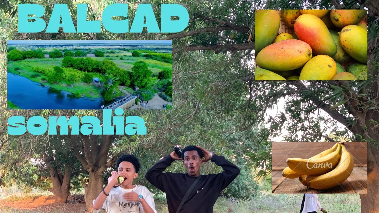 Safar Balcad | Cunto Macaan & Dhulka Quruxda Soomaaliya 🌴🍉”