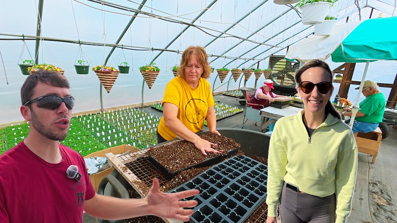 The Greenhouse Games Begin