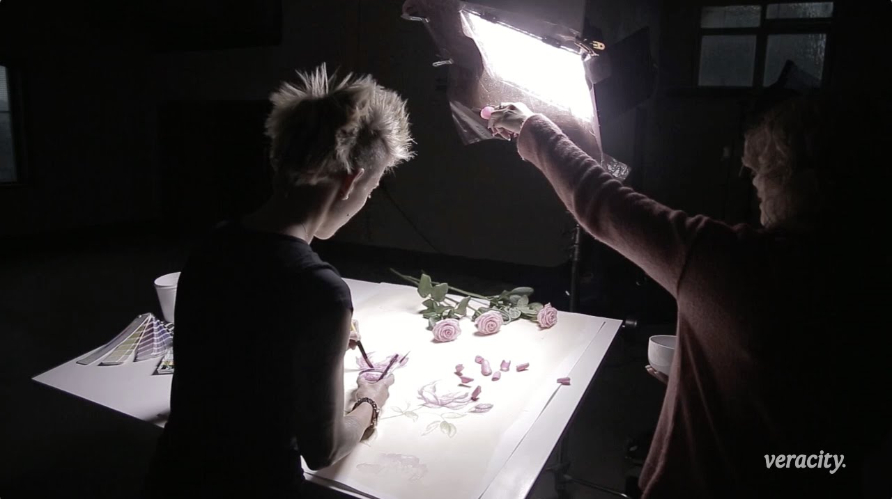 Veracity Video Production Showreel