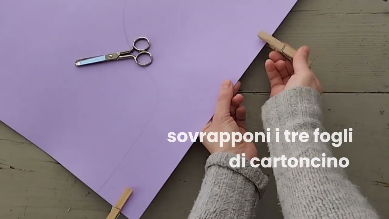 Tutorial teste di pappagallo. Costume di carnevale