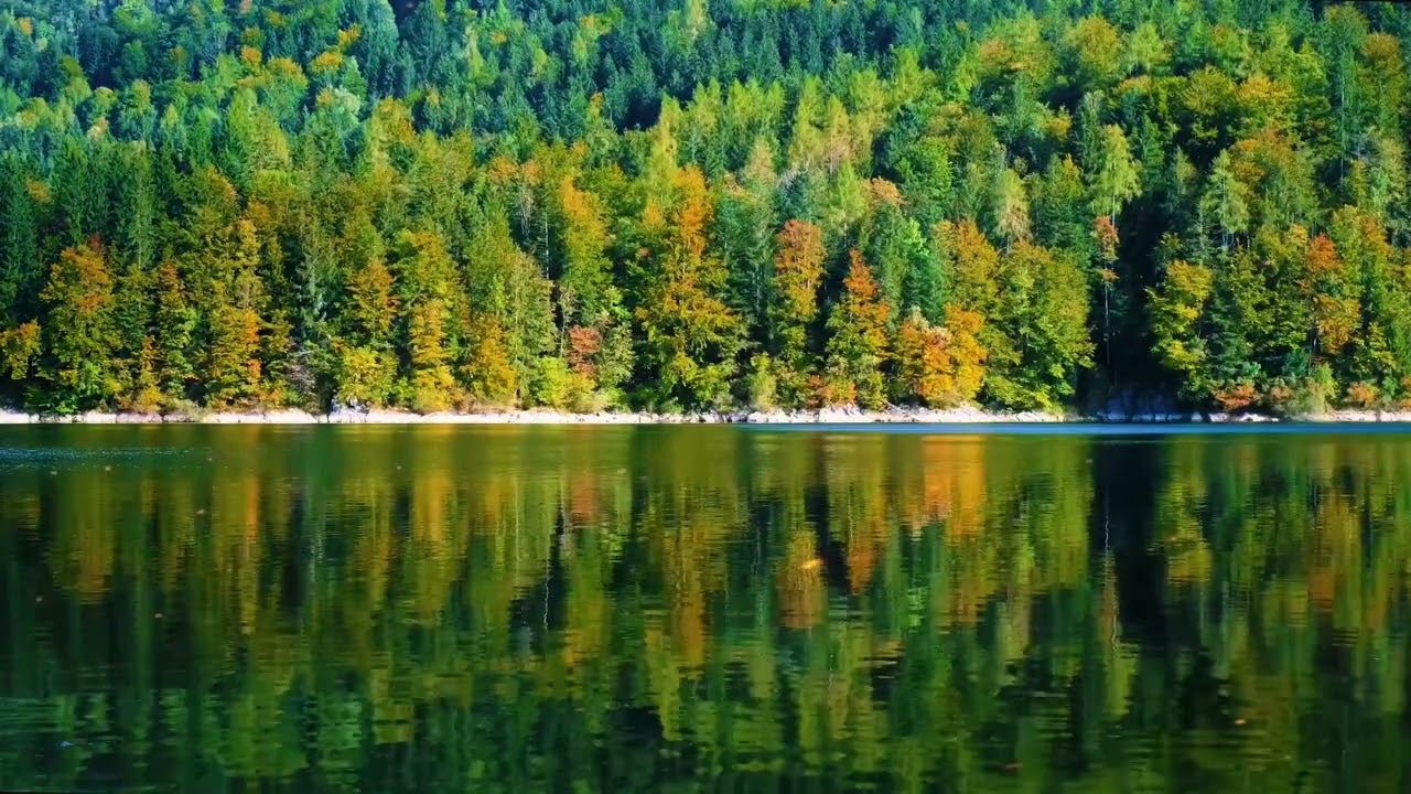 Nature Healing Frequency • Fall Asleep Fast with Calming Sounds