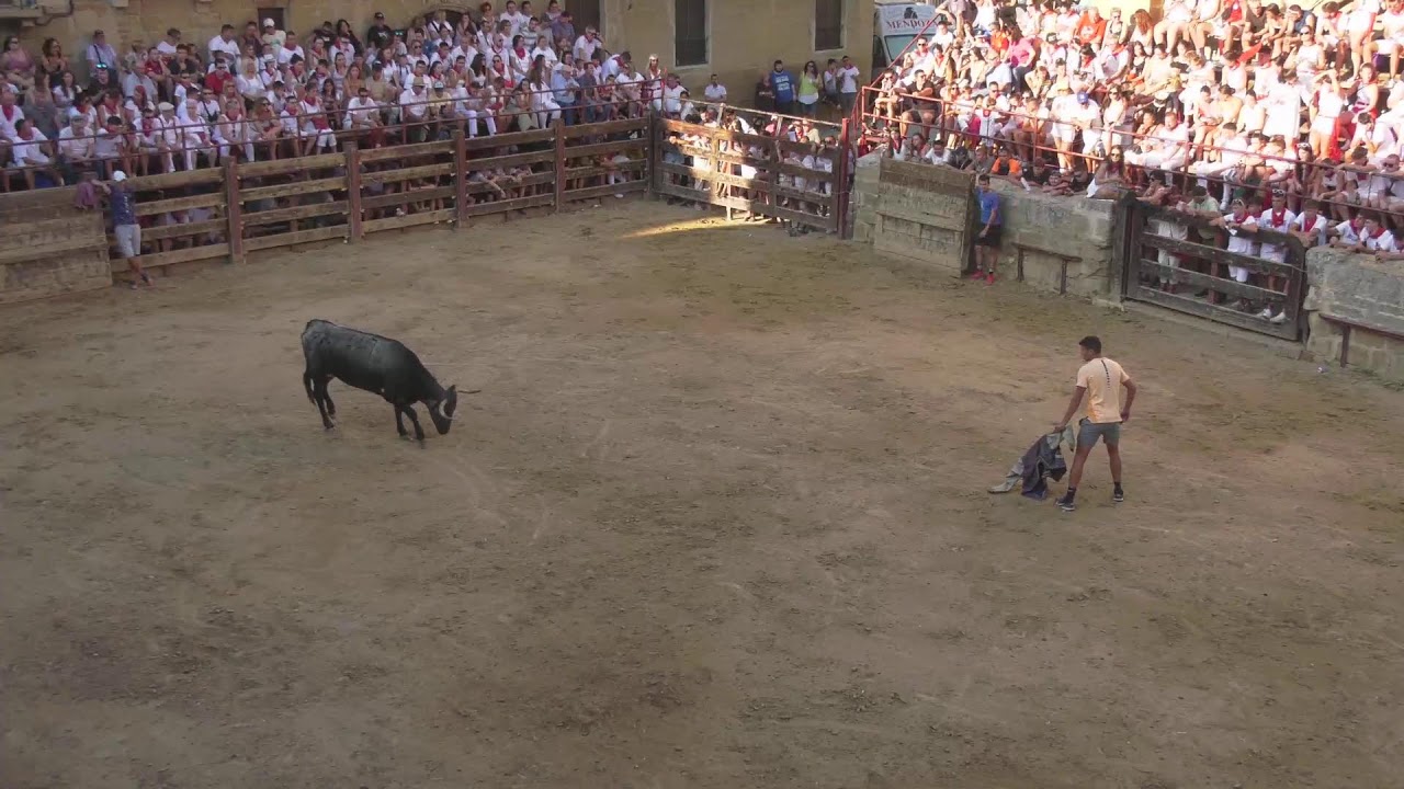 Encierro y Capea - Fiestas de Carcastillo.
