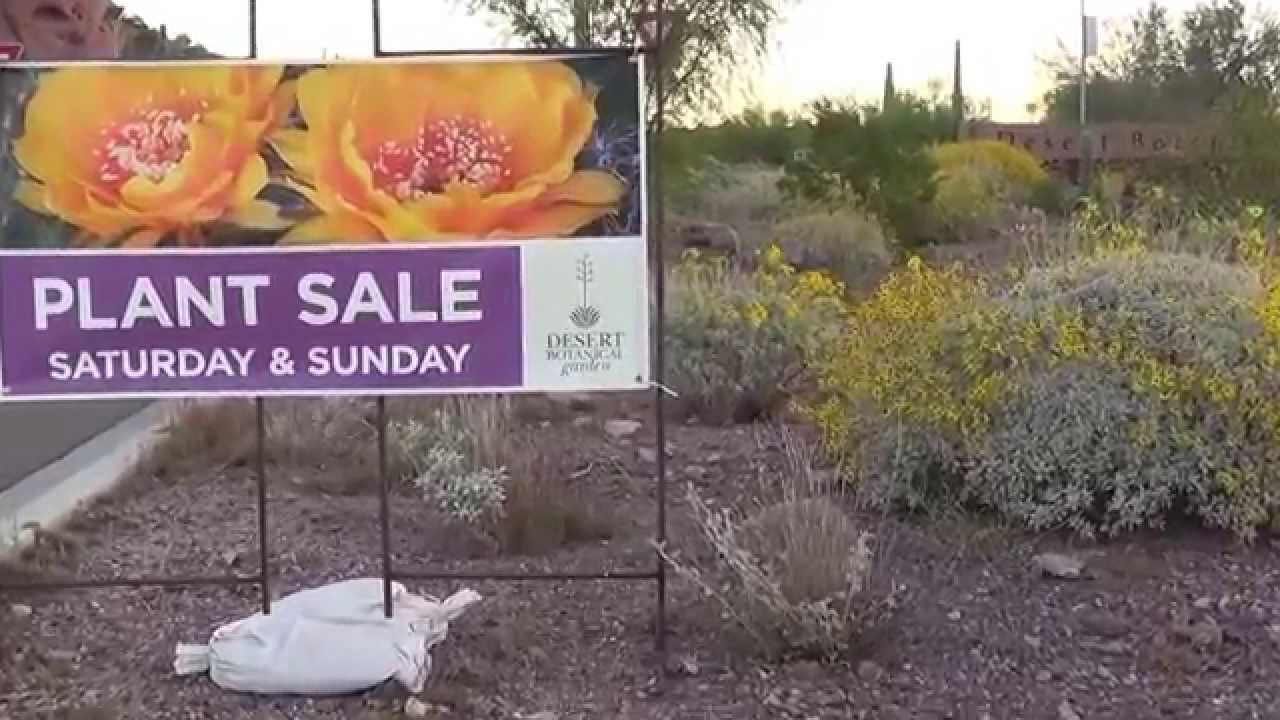 ☞ Desert Botanical Garden - Spring Sale - Delivery Sneak-Peek ☺