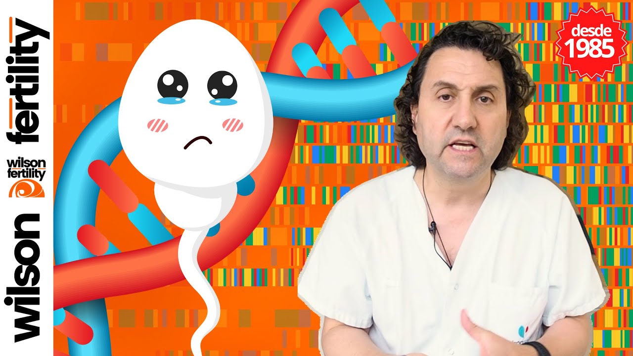 ¿Cómo tratar la fragmentación espermática elevada?