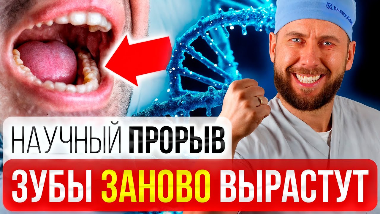 Зубы могут вырасти заново? Новые исследования