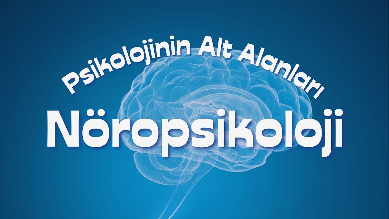Psikolojinin Alt Alanları l N&ouml;ropsikoloji l