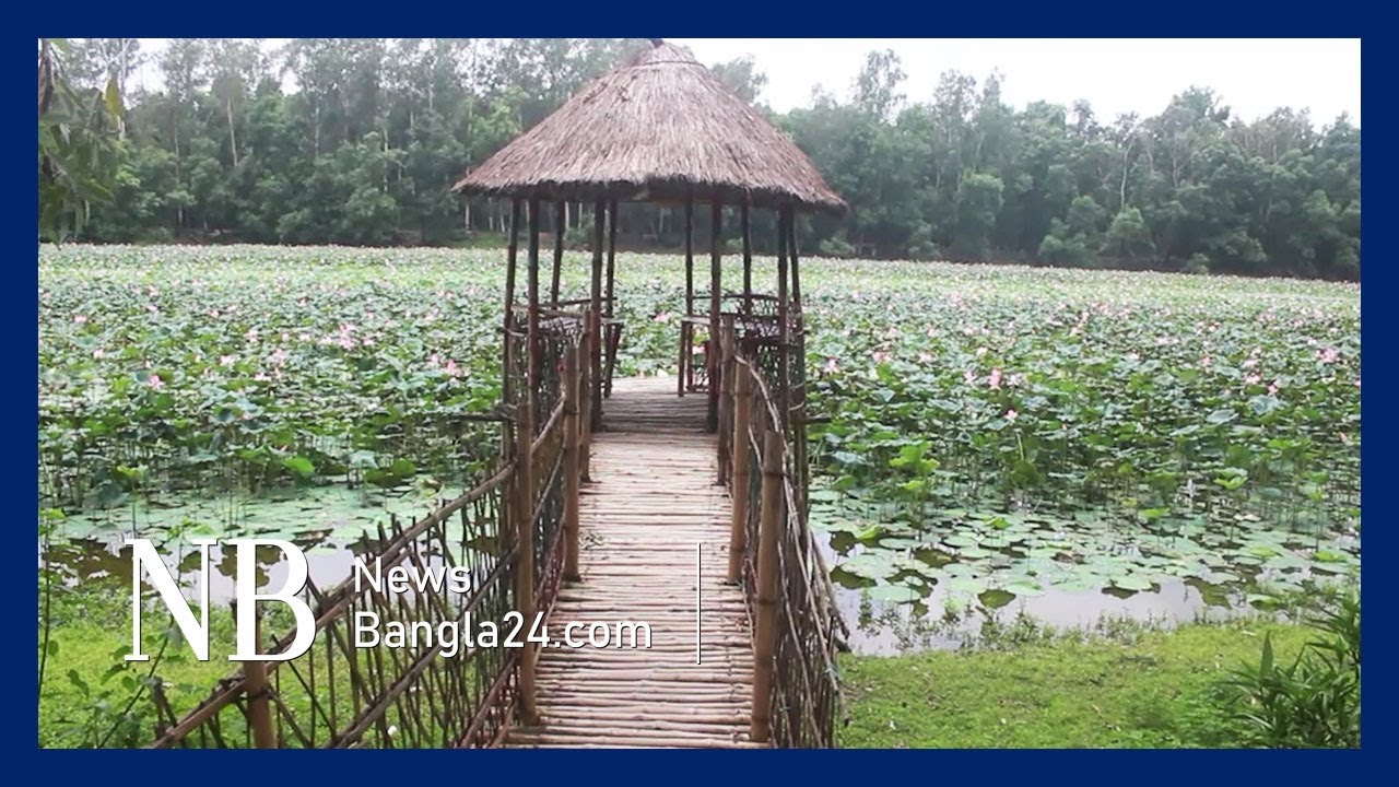 আলতাদীঘি যেন প্রকৃতির অপরূপ লীলাভূমি | Naogaon Alta-Dighi