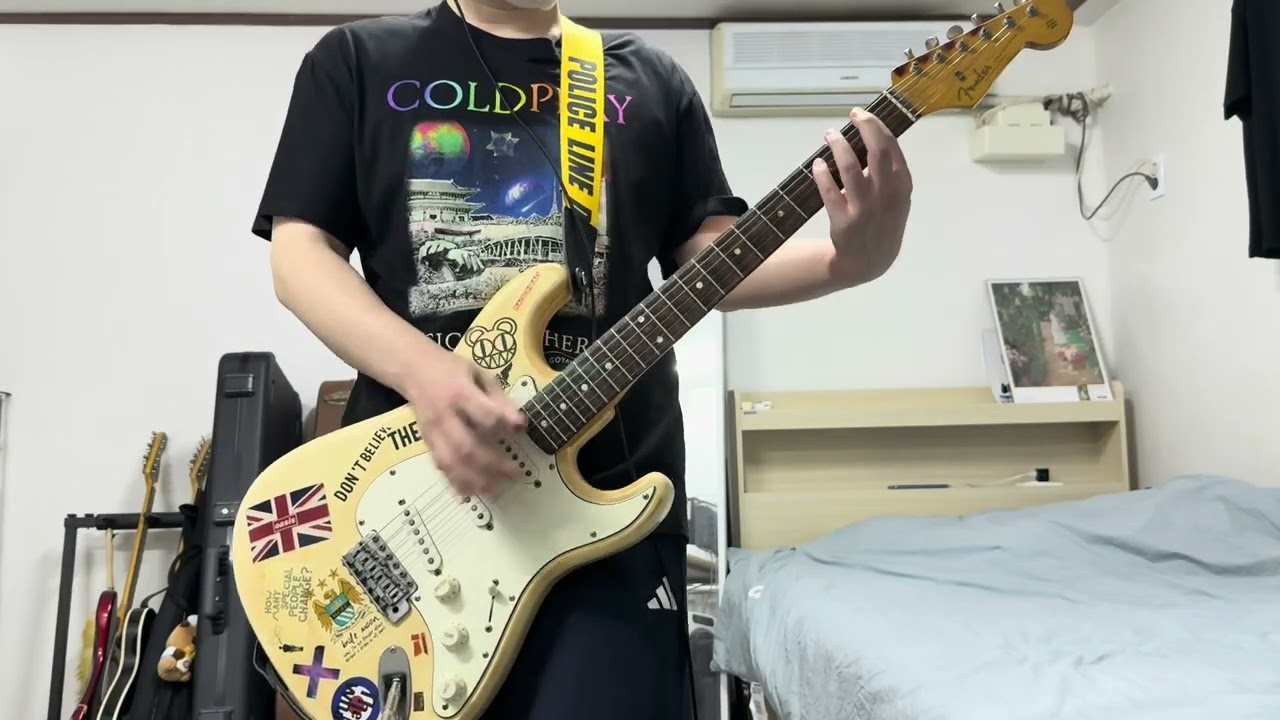 Red Hot Chili Peppers - Dani California(guitar cover)