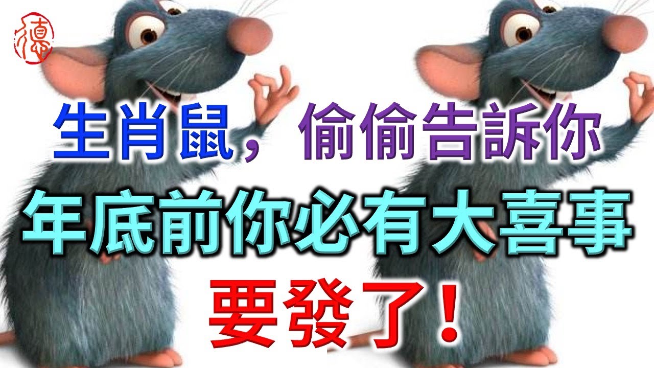 生肖鼠，年底前你必有大喜事，要發了！