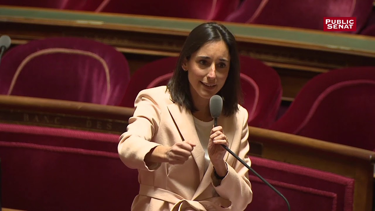 &laquo; Appelez-moi, Madame la ministre &raquo;  &eacute;change tendu entre Brune Poirson et G&eacute;rard Longuet