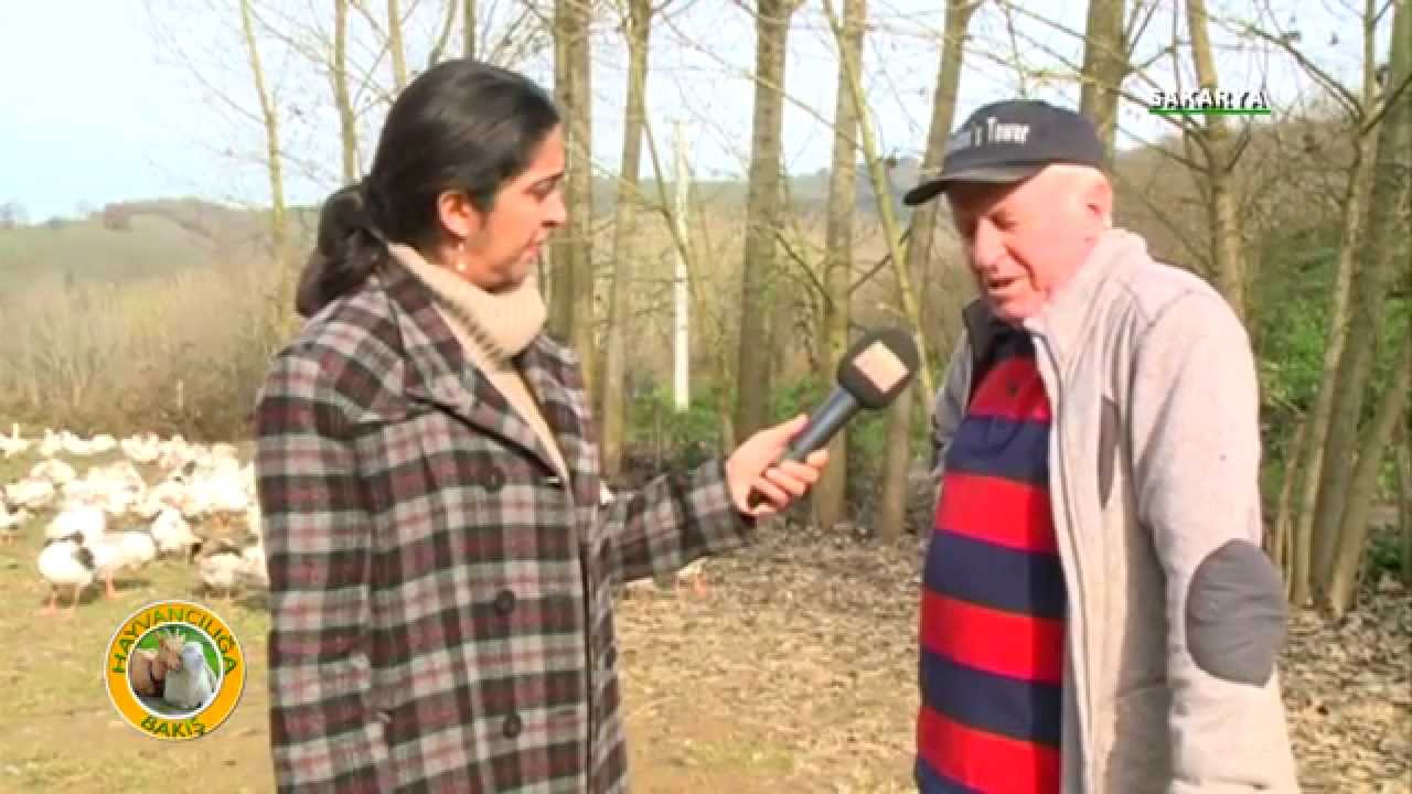 HAYVANCILIĞA BAKIŞ KAZ 1 KISIM