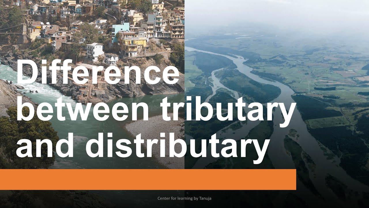 Difference between Tributary and Distributary| Learn about tributaries & distributaries in 2 minutes