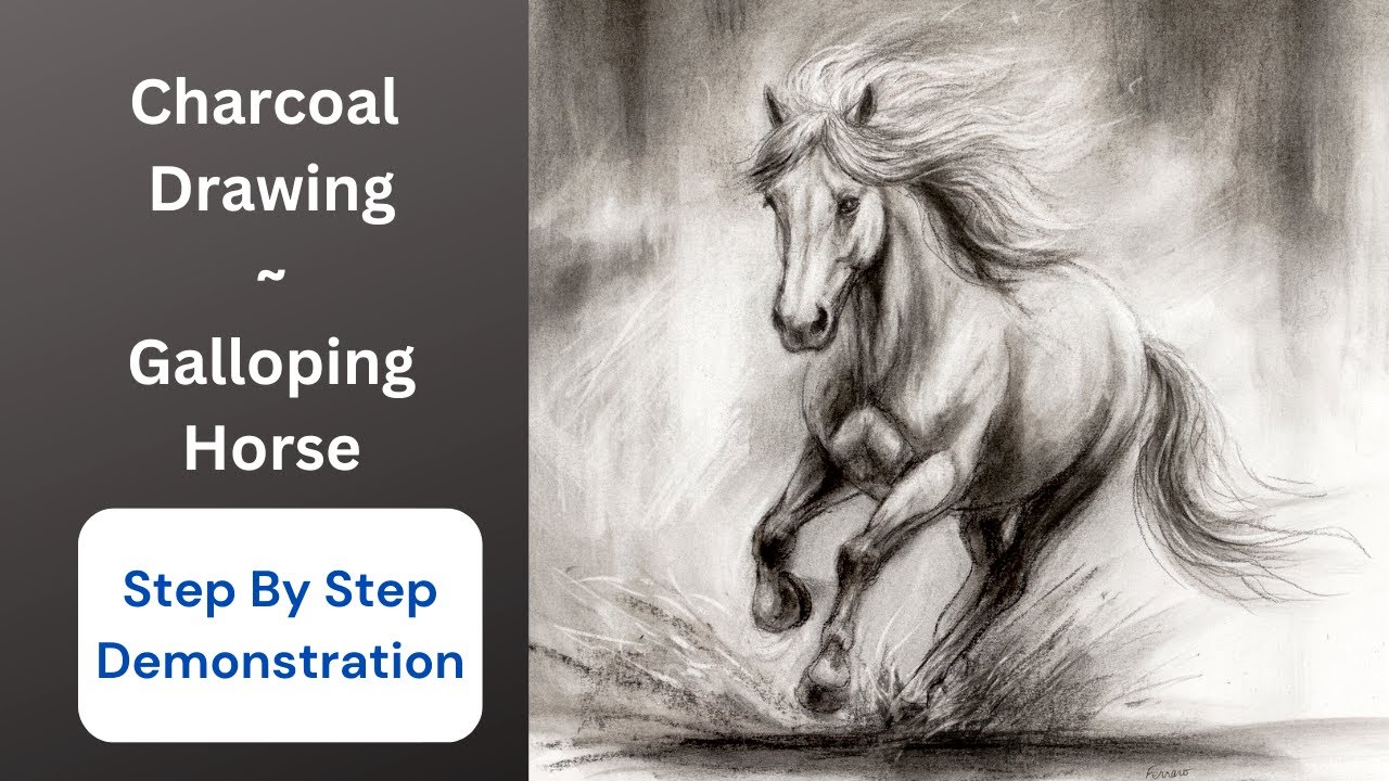 Charcoal Drawing~Galloping Horse~Step-By-Step Demonstration