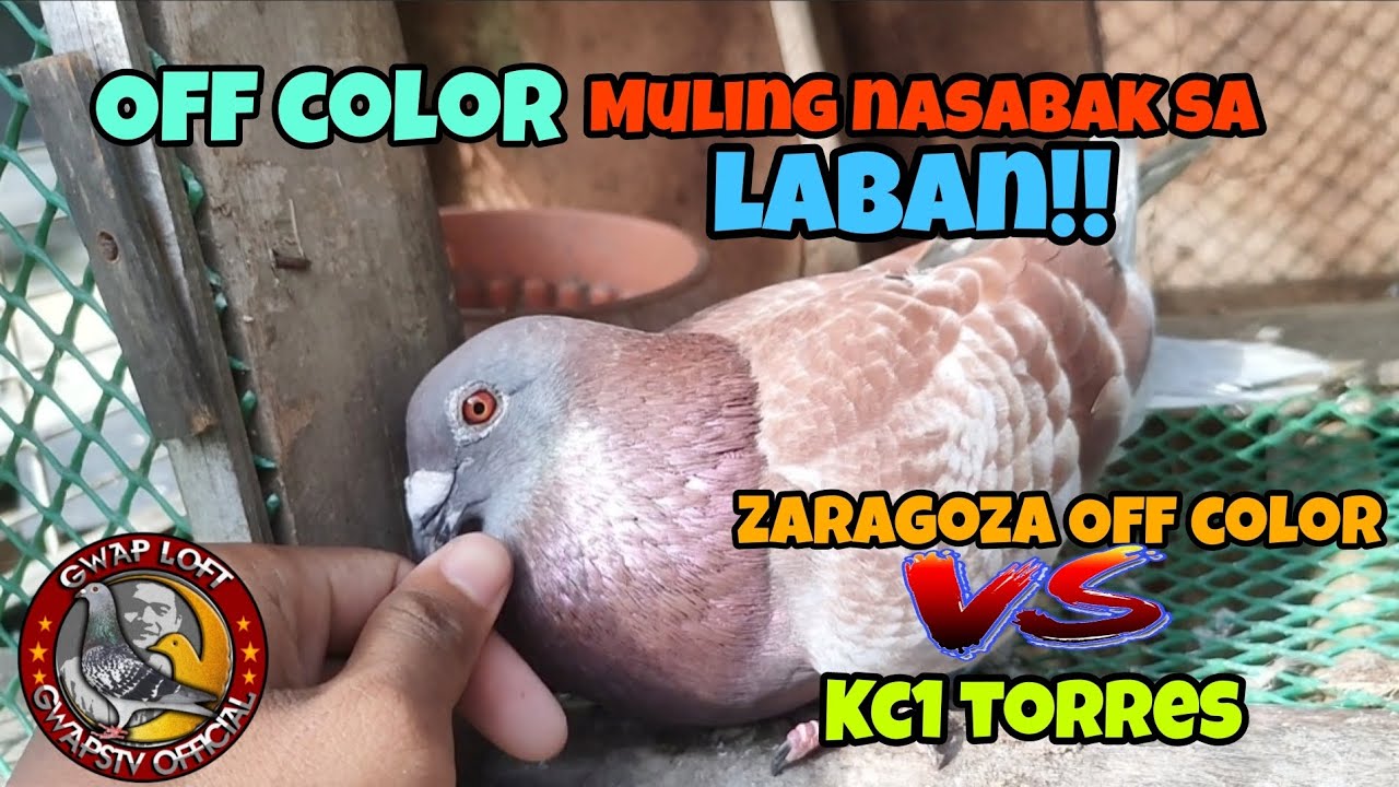 KC1 TORRES VS REDBOY 