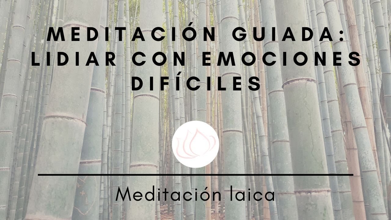 Meditación guiada: cómo lidiar con emociones difíciles