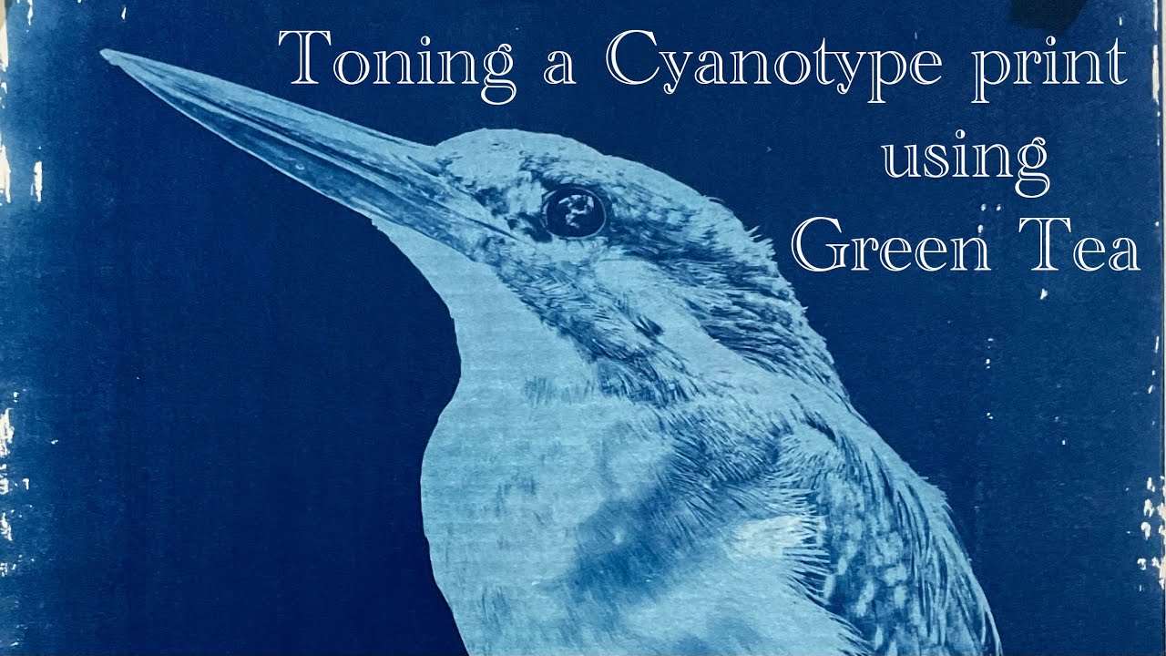 Toning a Cyanotype with Green Tea