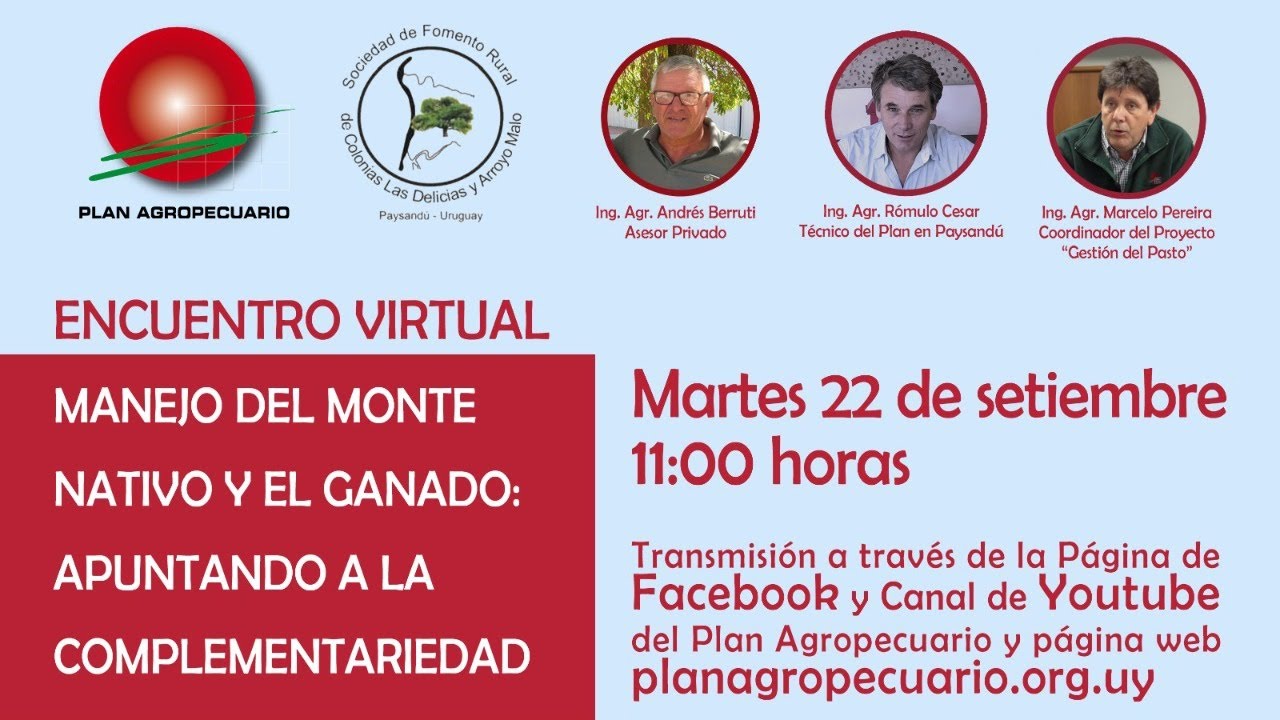 Encuentro virtual 