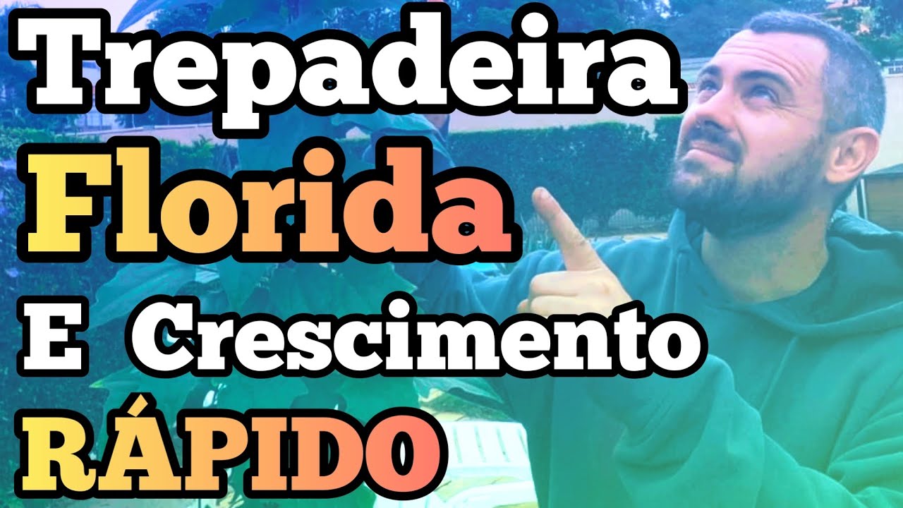 Trepadeira para Pergolado  / Trepadeira que Cresce Rápido.