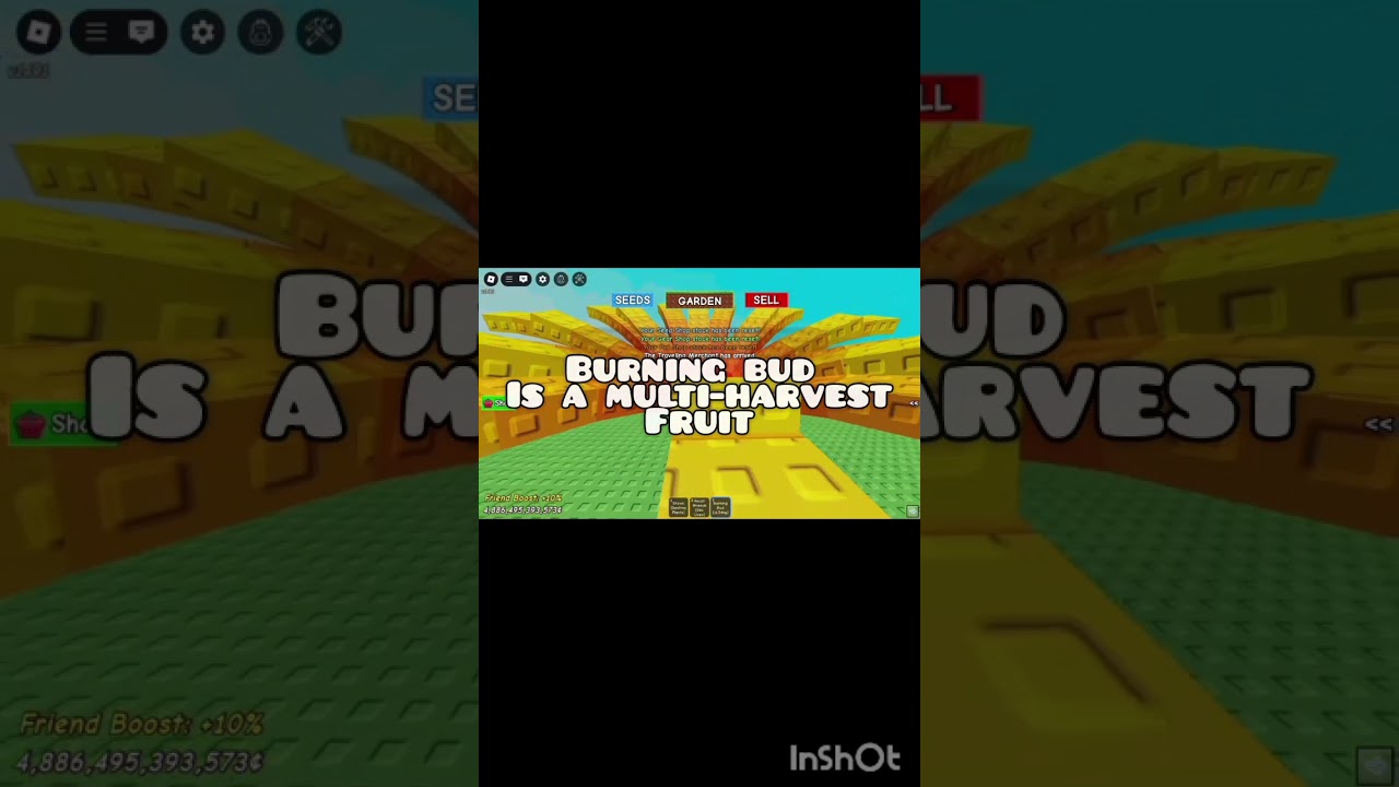 burning bud showcase #growagarden #roblox