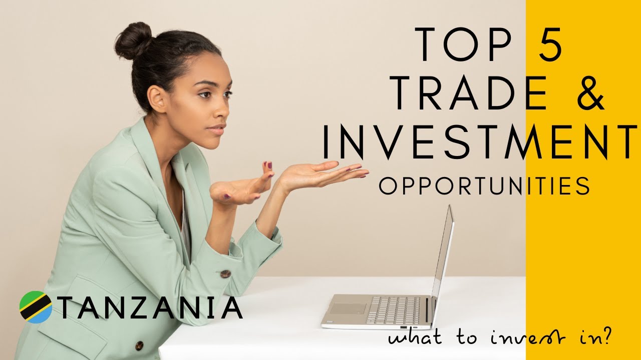 Business Opportunities in East Africa | Top 5  Trade and Investment Opportunities in Tanzania
