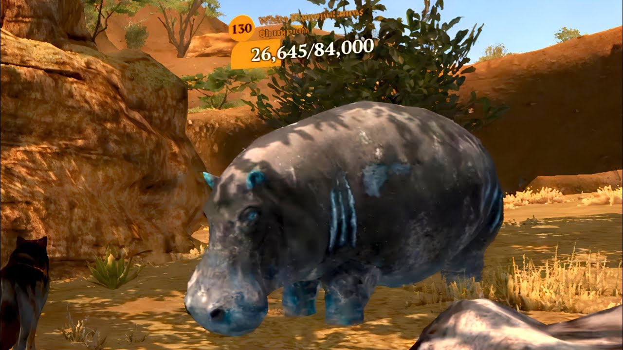 The Wolf - White Hippopotamus Champion In Featured Savannah Valley 🏆