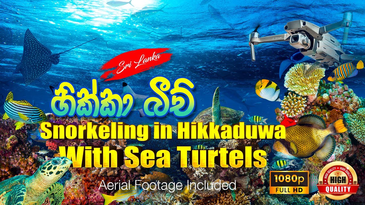 Hikkaduwa CORAL REEF | Snorkeling | Sri Lanka