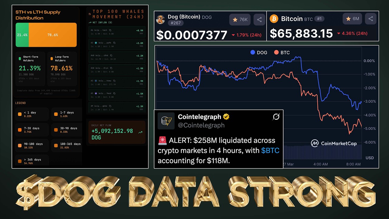 Владельцы $DOG демонстрируют устойчивый рост после внезапной капитуляции рынка Marco 💎🙌 (Доказате...