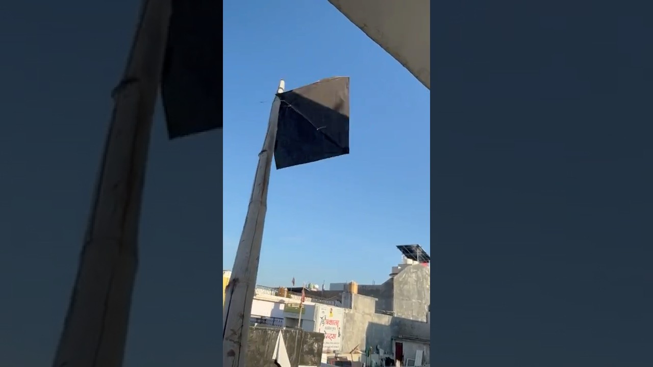 Patang looting in top rooftop 🪁😱 #kite #kitecatching #shorts #shortsfeed