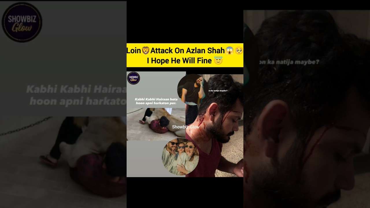 Lion Attack On Azlan Shah 😱🥺 #azlanshah #azlan #lion #attack #shorts #viral #fyp