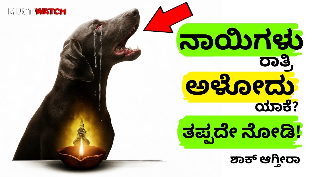 ನಾಯಿಗಳು ರಾತ್ರಿ ಅಳೋದು ಯಾಕೆ ಗೊತ್ತ? ಕಾರಣ ತಿಳಿದ್ರೆ ಶಾಕ್ ಆಗ್ತೀರಾ! #dogs  #ಶುಭ #ಕನ್ನಡ #ಕಥೆ #astrology