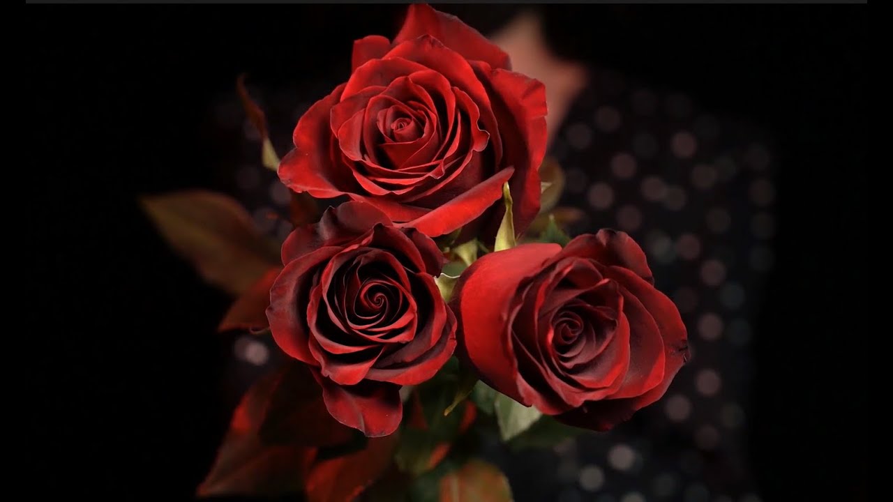 Chopin Nocturne in C# minor Op. posth