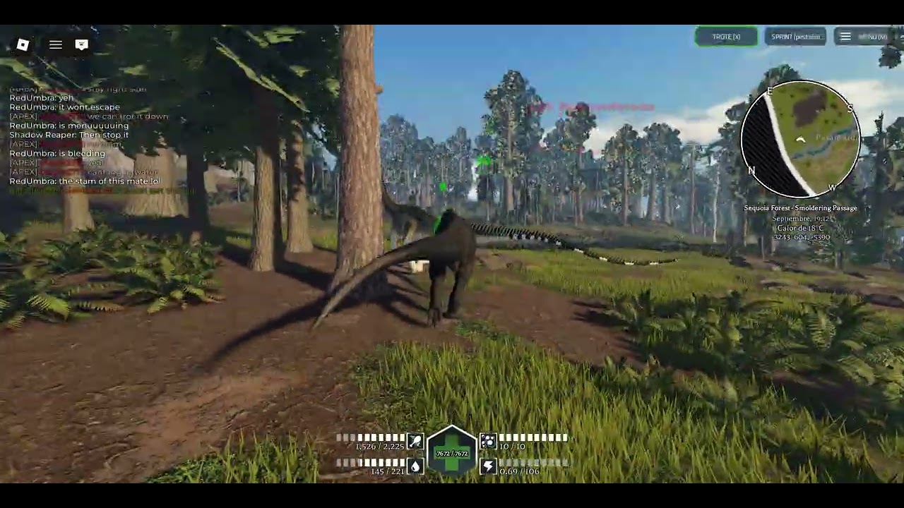 Persiguiendo diplo que se cree el Forest (PE Recode)
