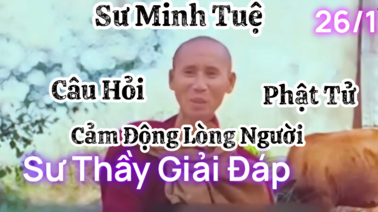26/1 Cảm động lòng người 2 câu hỏi phật tử gửi , Sư Thầy Minh Tuệ giải đáp quá hay , nghe nhẹ lòng