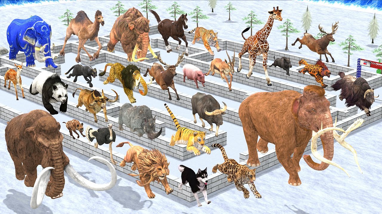 Maze Madness Race 24 Wild Animals, Which is the Fastest Animal Animal Revolt Battle Simulator