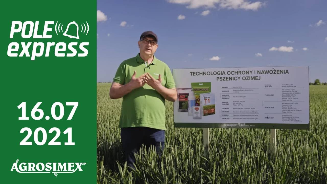 Ochrona i nawożenie pszenicy ozimej &ndash; POLE express Agrosimex
