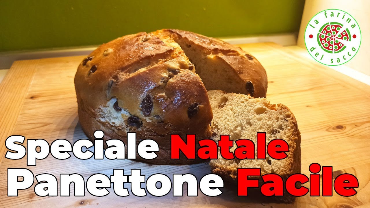 Panettone semplice fatto in casa con lievito madre