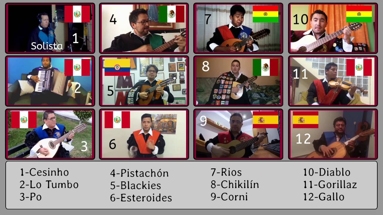 Rondalla Tuna Tunos Unidos Músico Vocal