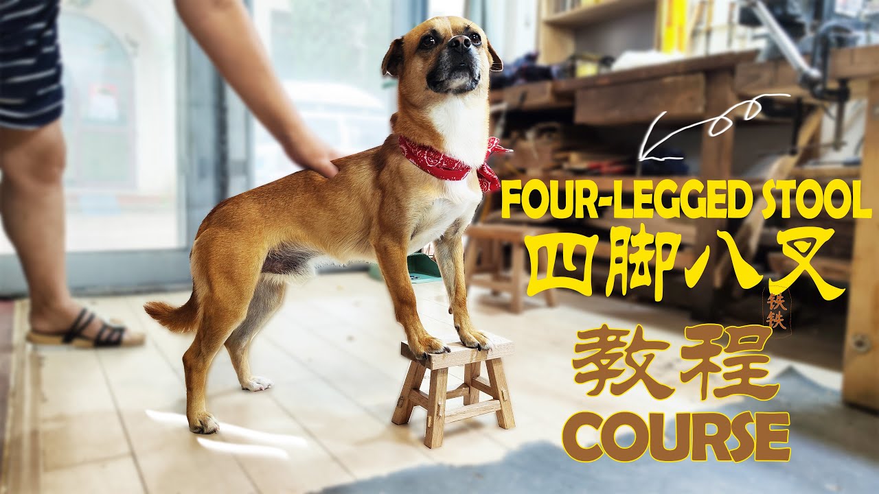 How to make a Four-Legged Stool easily?跟着爸比铁铁学习超简单的四脚八叉制作方法！【爸比铁铁 Daddy Tietie】