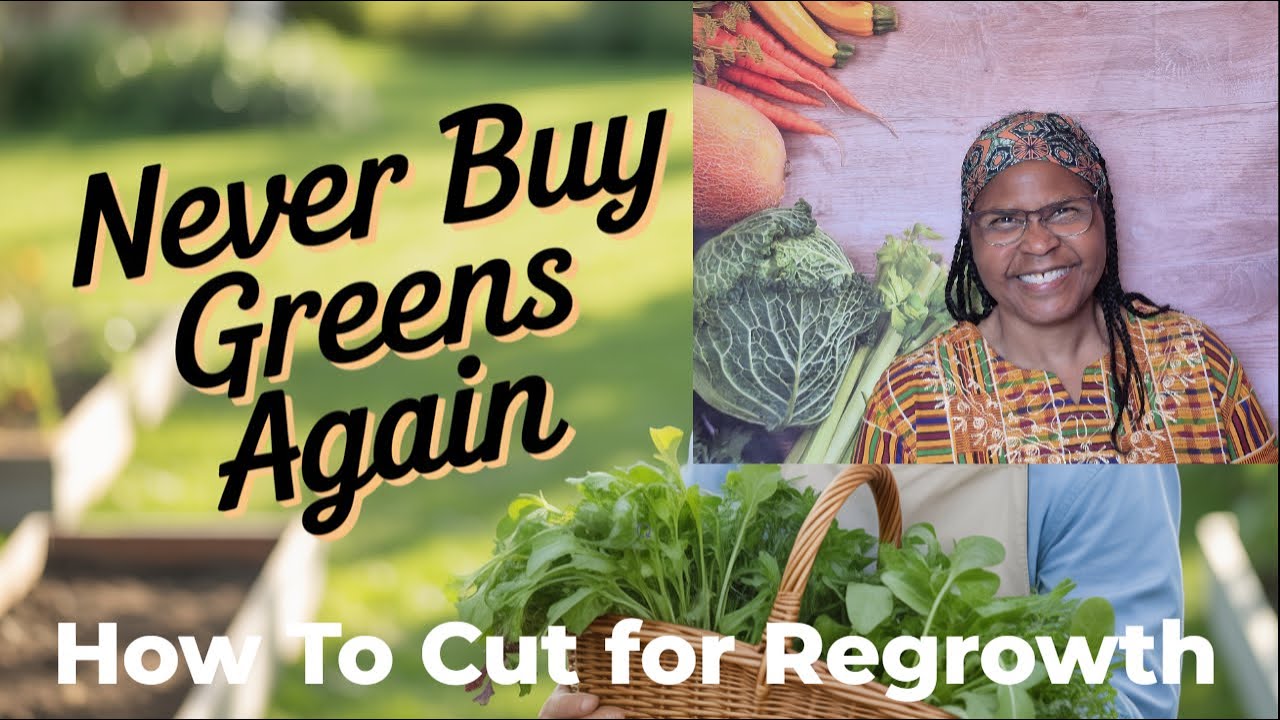 Grow Once, Harvest for Weeks! Cold Crop Cut-and-Come-Again Method