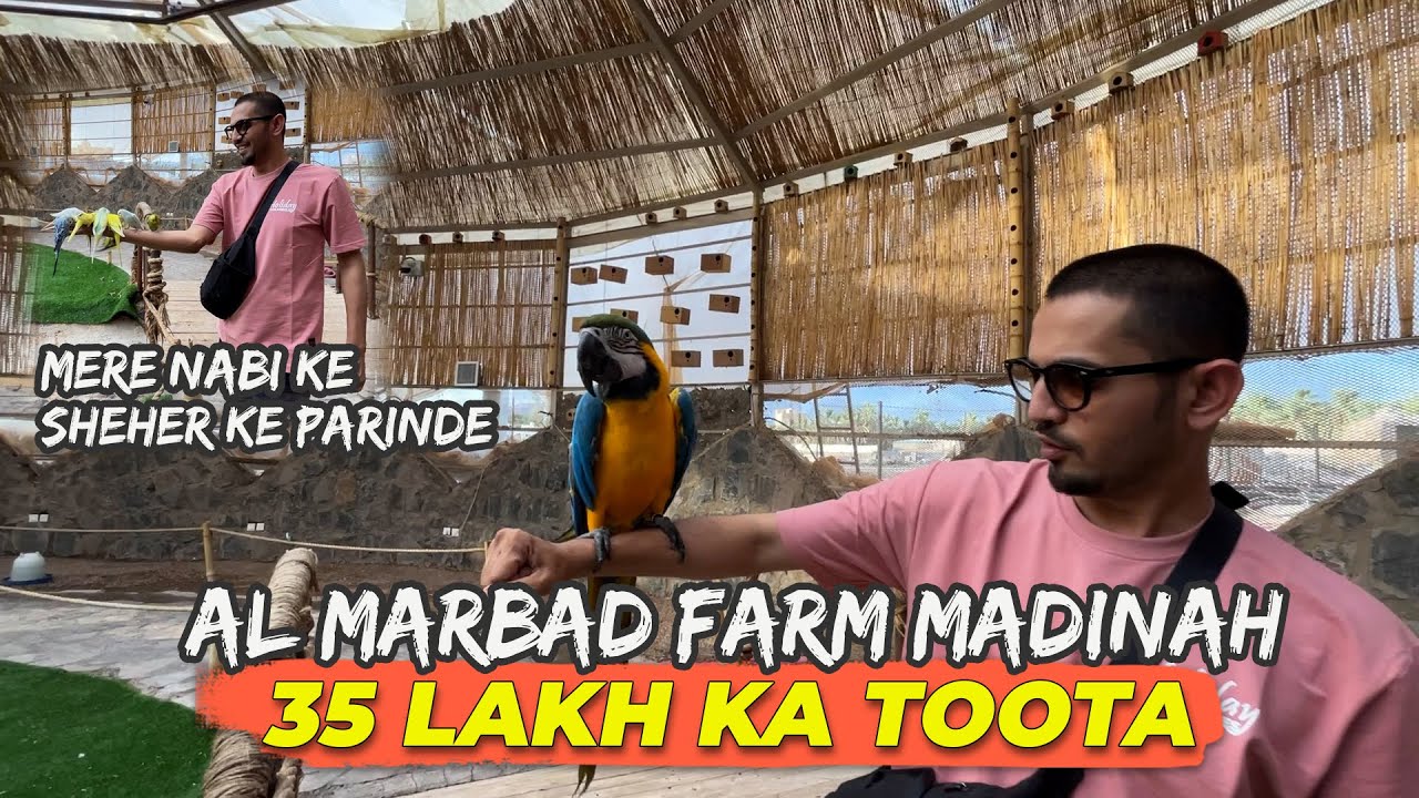 Al Marbad Farm Madinah - 35 Lakh Ka Toota | Mansoor Qureshi MAANi