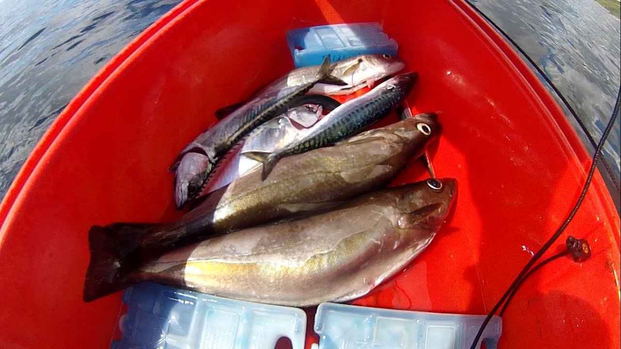 Hard Work Fishing for Mackerel and Pollack but a Stunning Morning at Sea