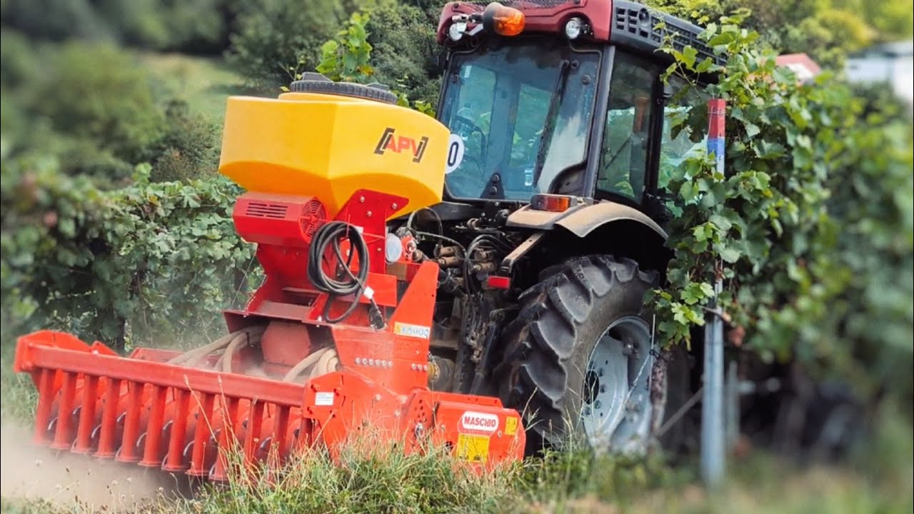 Case IH 90N mit Maschio Kreiselegge im Weinberg, Bodenbearbeitung, Weinbau